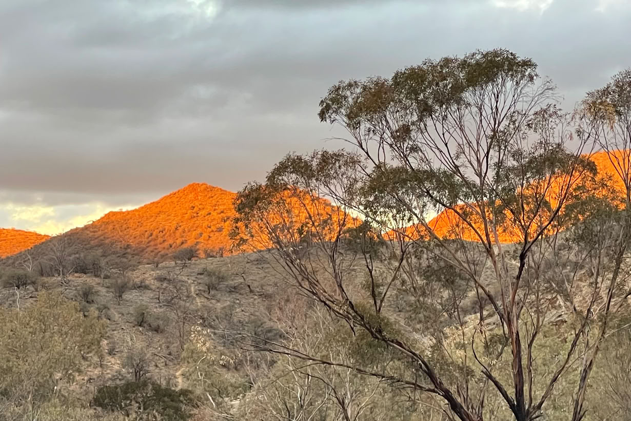 Arkaroola at sunset 5 day arkaroola Wilderness Sanctuary tour flinders ranges