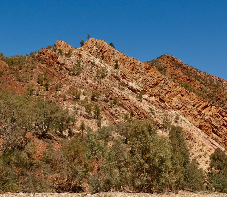 Flinders Ranges Day Tours  Flinders Ranges Day Tours Brachina Gorge