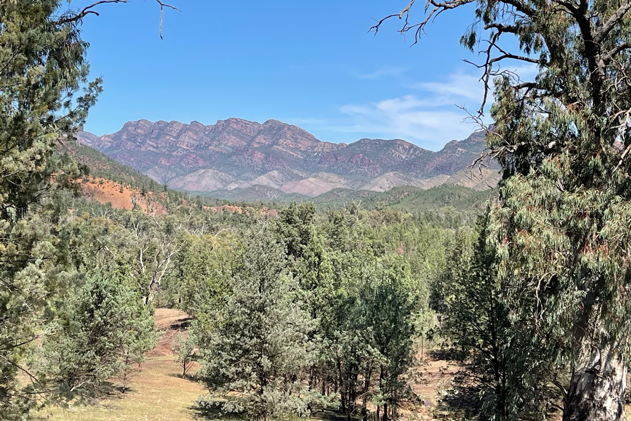 Flinders Ranges ediacaran Fossil tour 3 days
