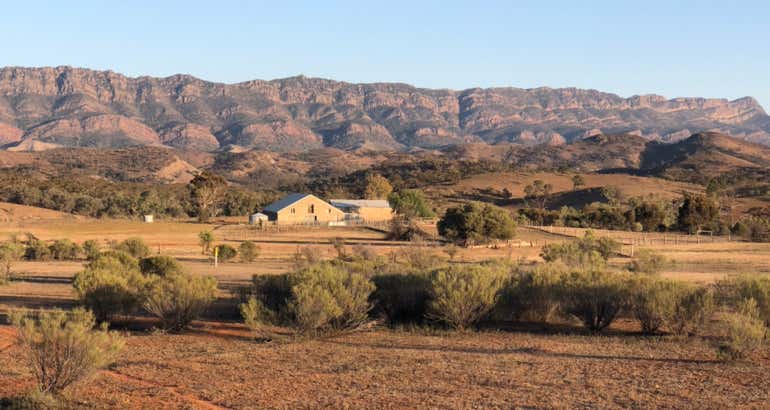 Flinders Ranges day tours - gorges and More 
